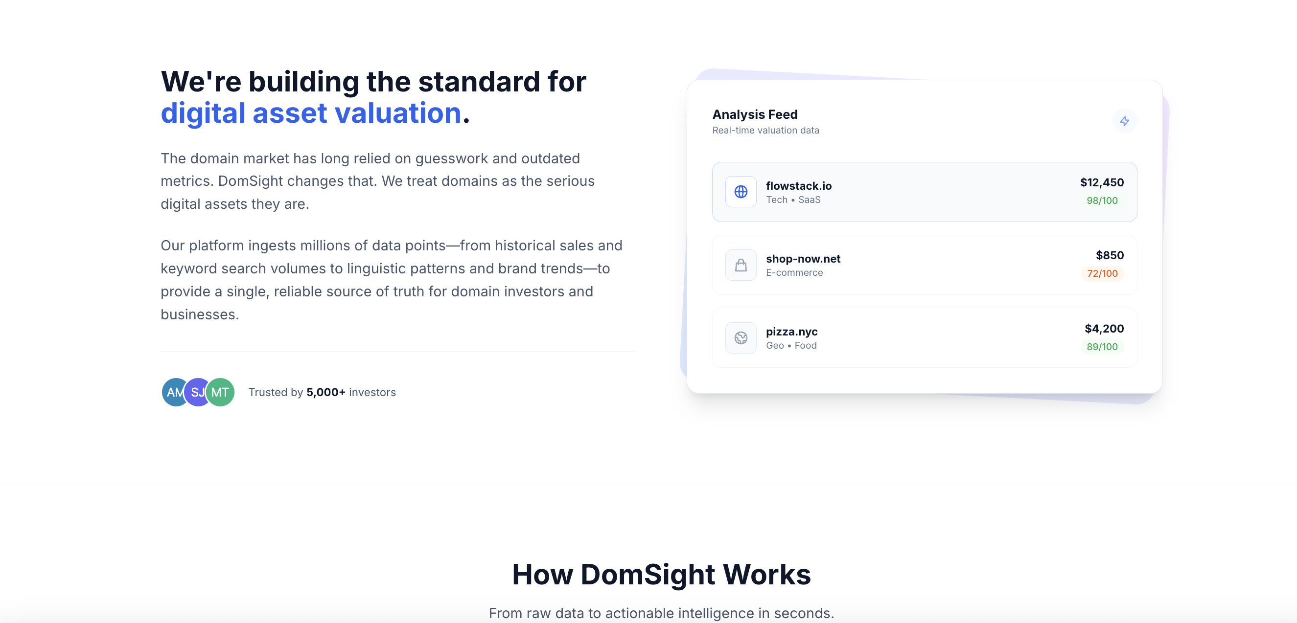 DomSight AI-powered domain SaaS Platform gallery image