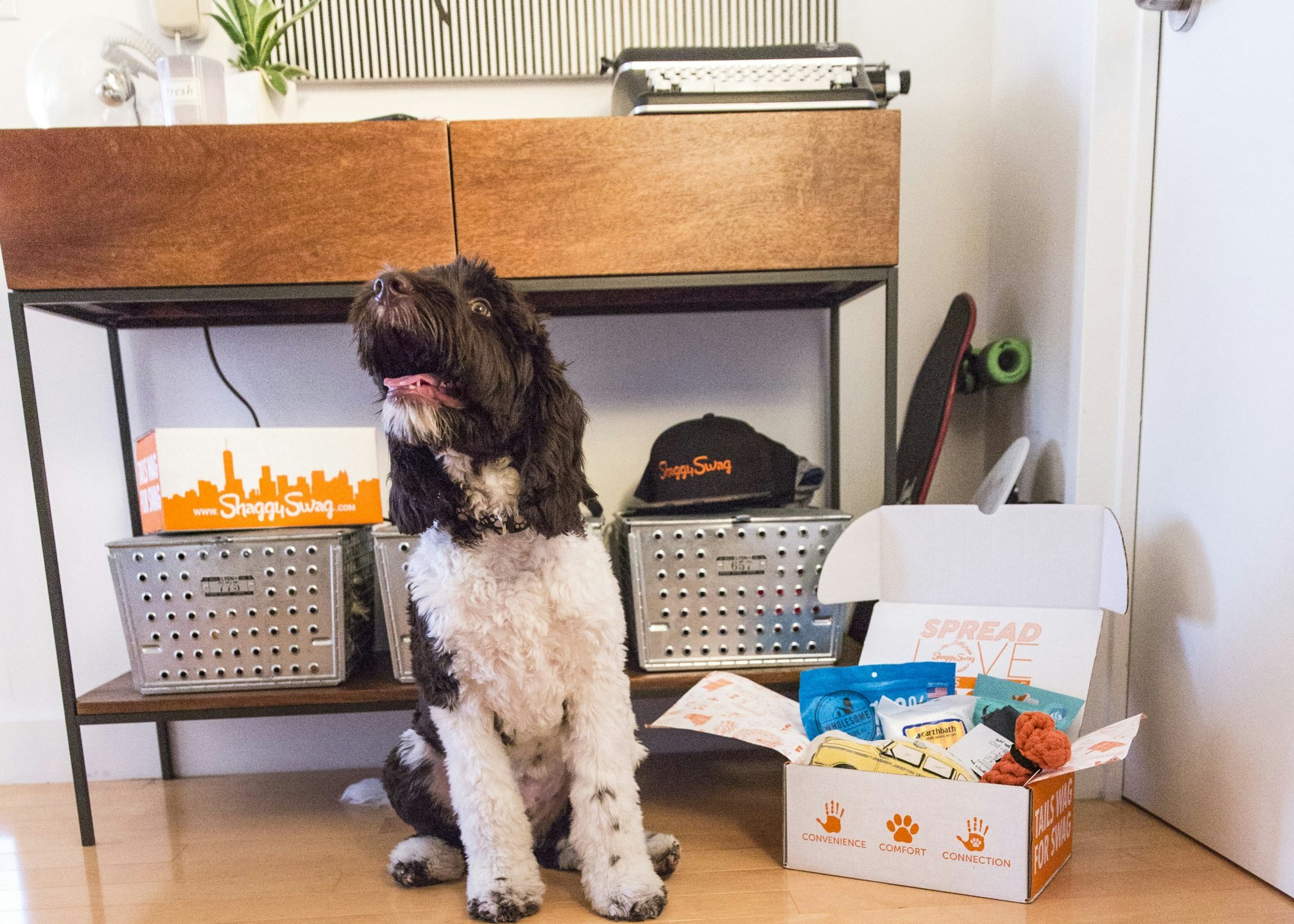 ShaggySwag gallery image