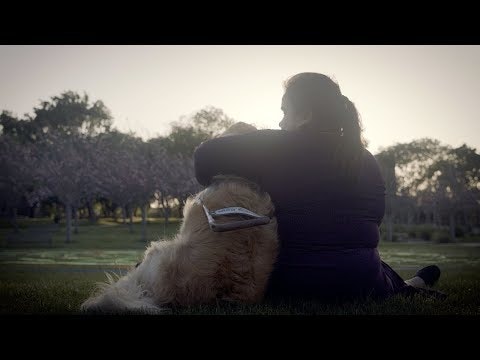 Google Lookout gallery image