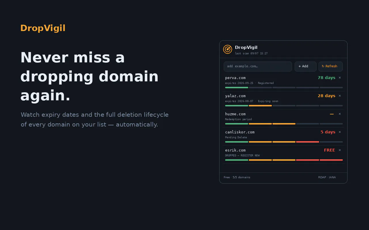 DropVigil Domain Drop gallery image