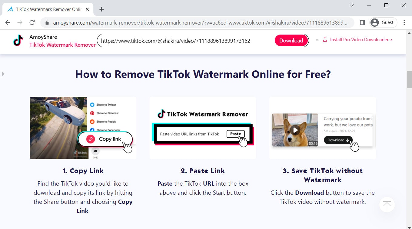 Tiktok Watermark Remover ออนไลน์ฟรี media 3