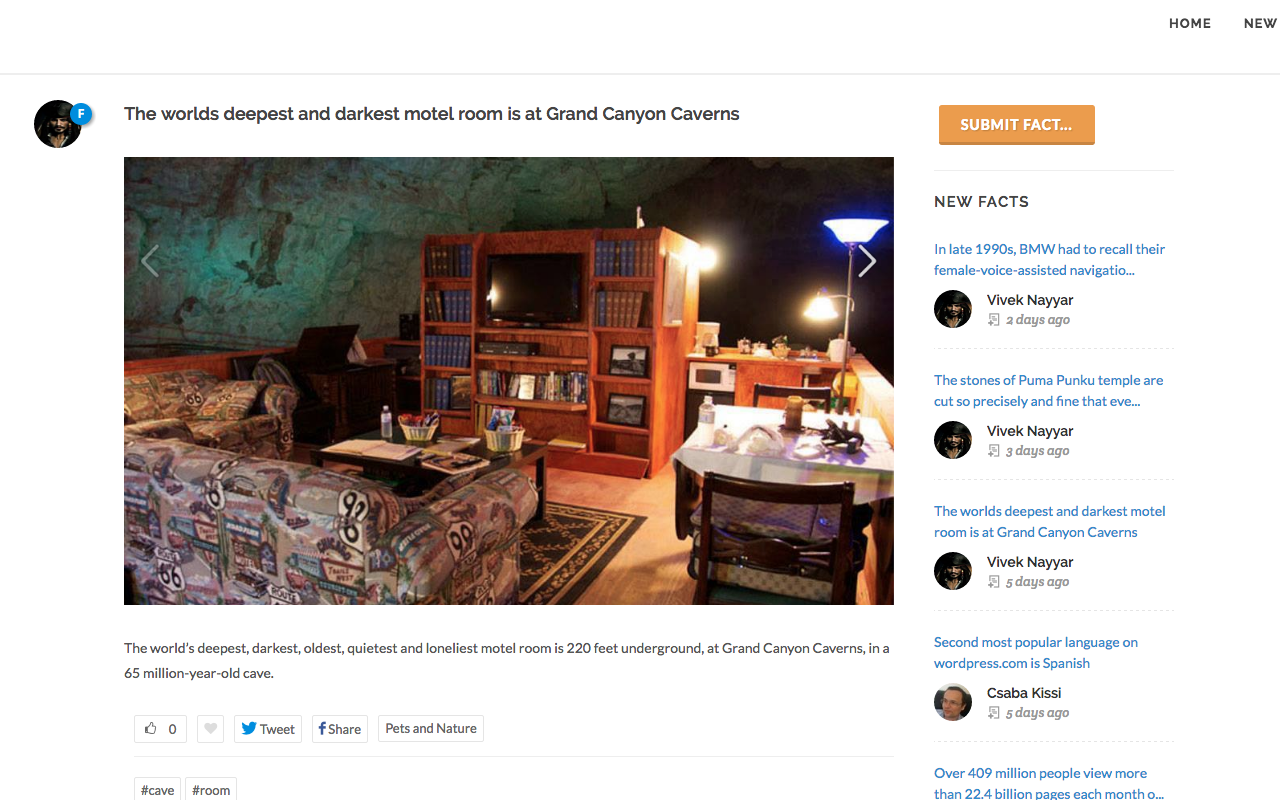 Fact Hunt gallery image