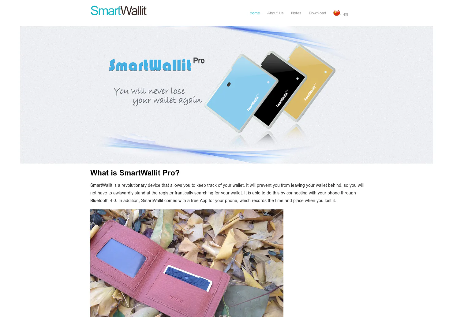 SmartWallit