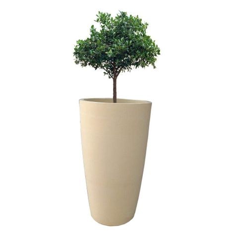 Cream White Diamond Square Planter