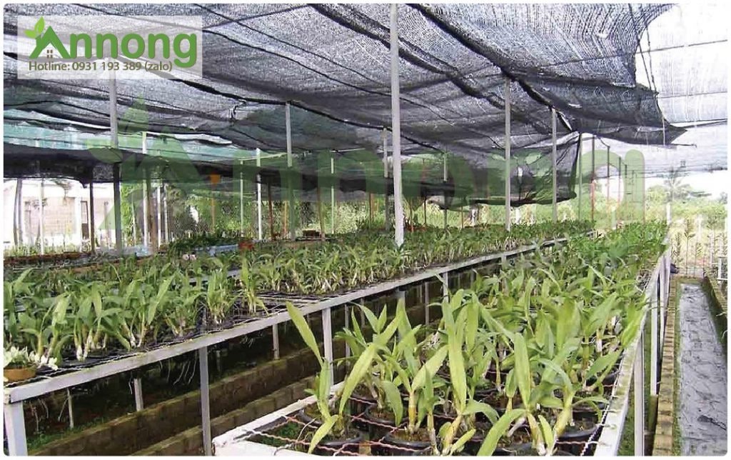Lưới Che Nắng An Nông giá rẻ gallery image