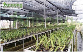 Lưới Che Nắng An Nông giá rẻ gallery image