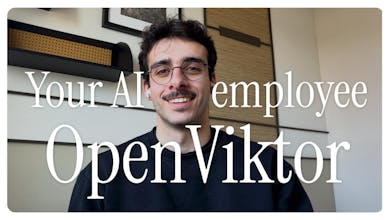 openviktor.com gallery image