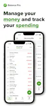 Balance Pro gallery image
