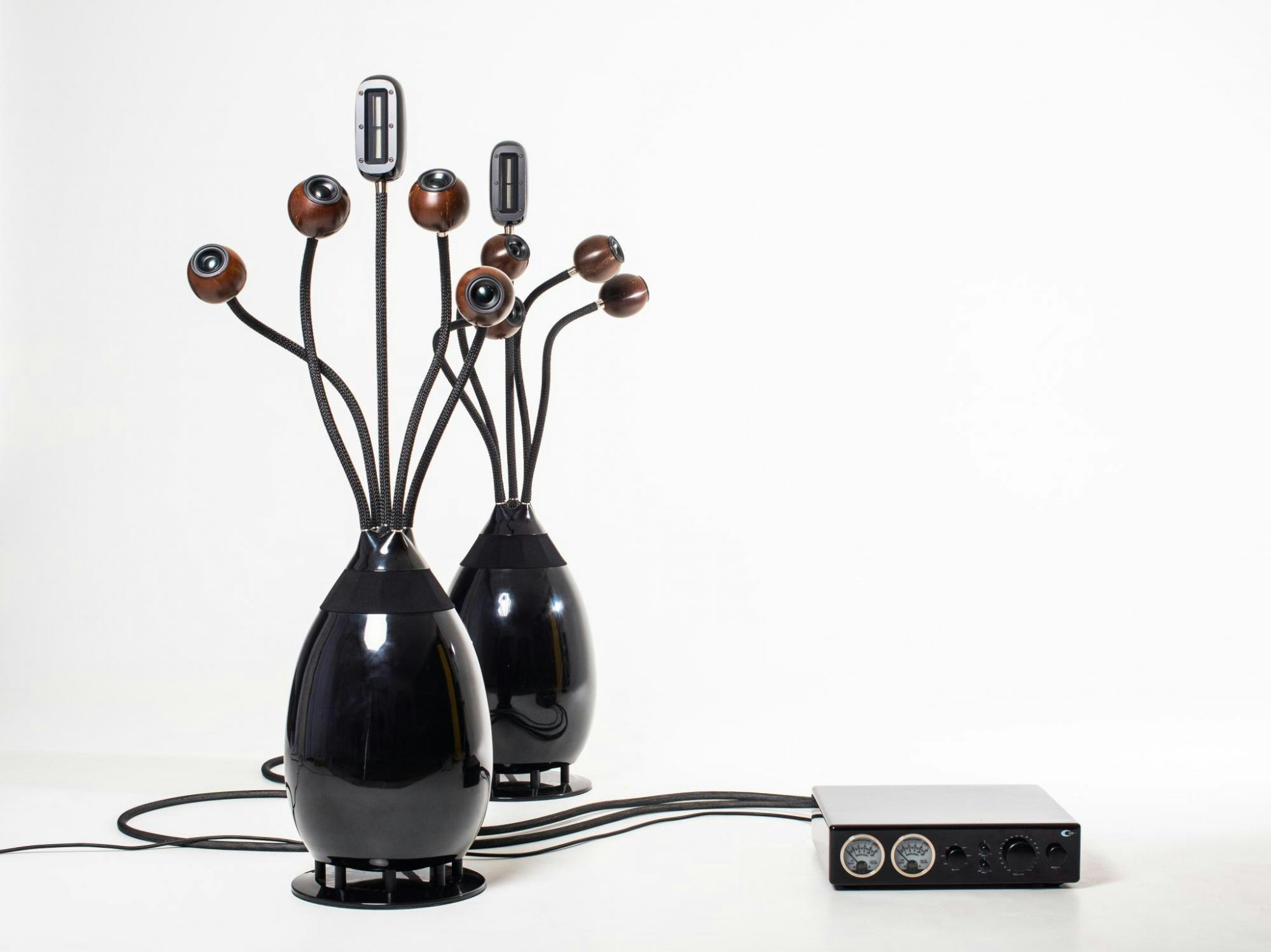 Hydra  gallery image