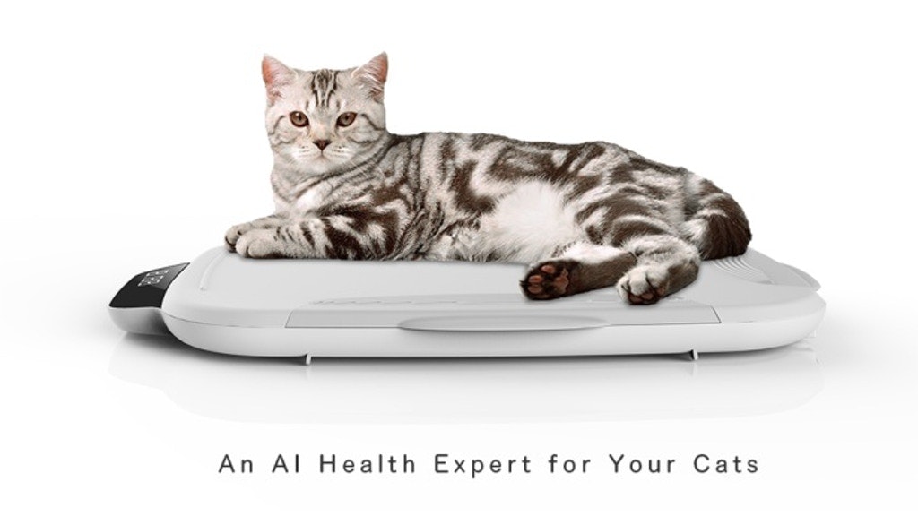 Wecare gallery image