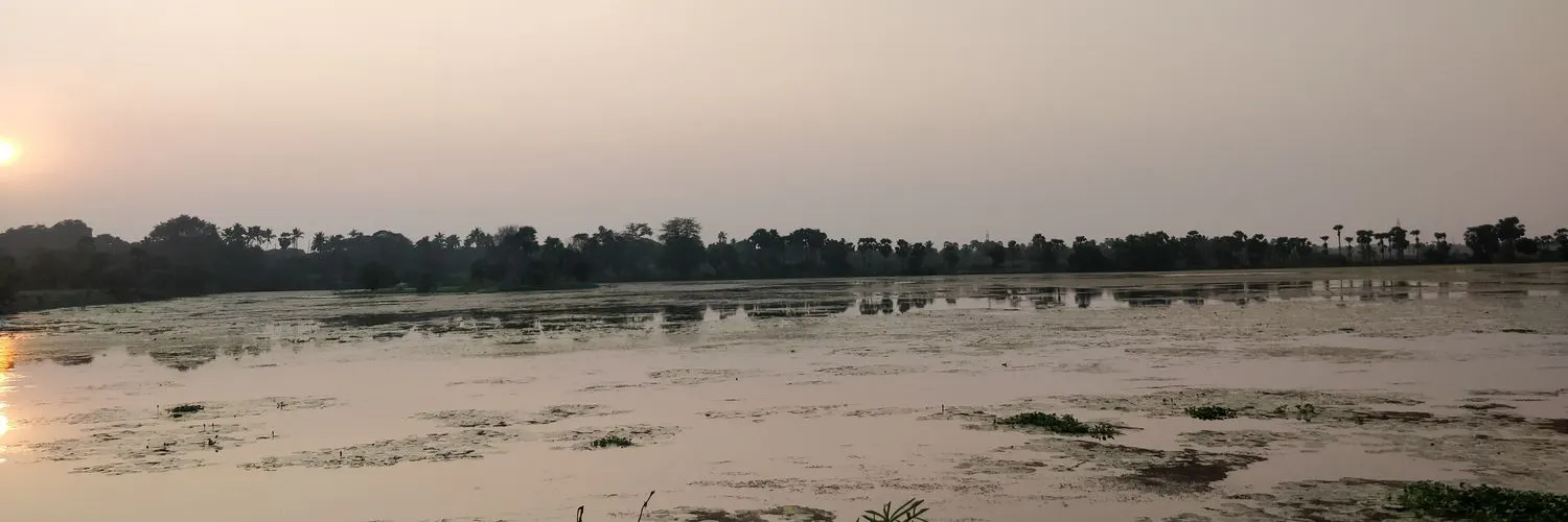 Raja Simon cover