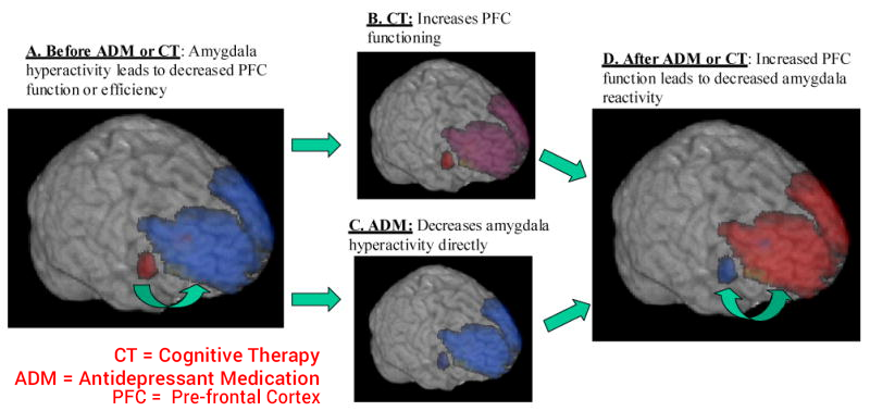 Calm India gallery image