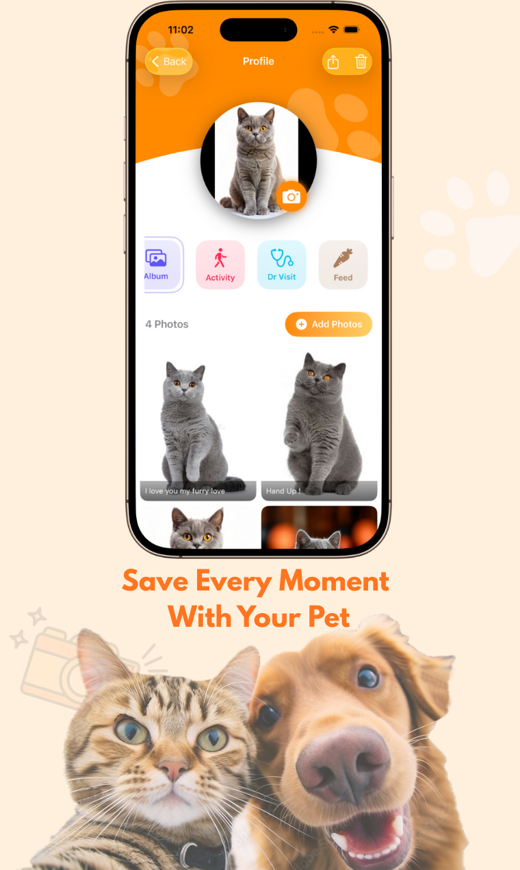 Pet Care - Lovely Paws gallery image