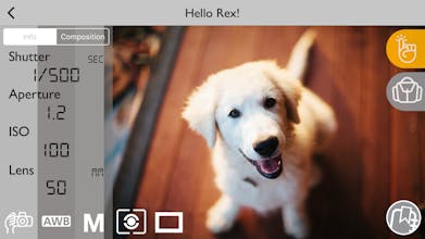 Fotoji gallery image