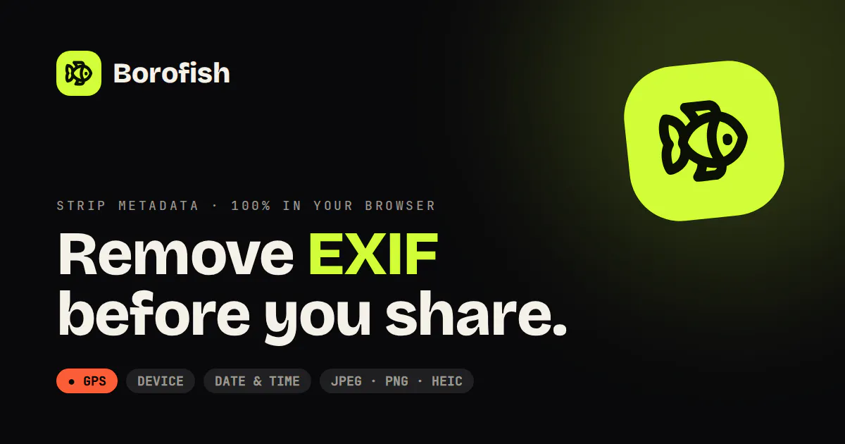 Borofish screenshot 1