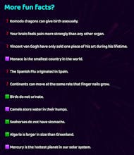 Daily Fact or Fiction gallery image