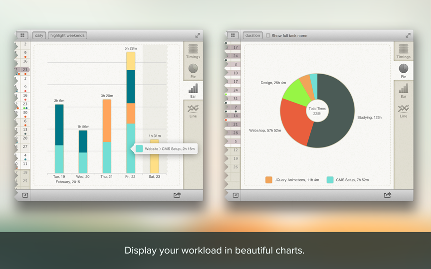 Timelime gallery image