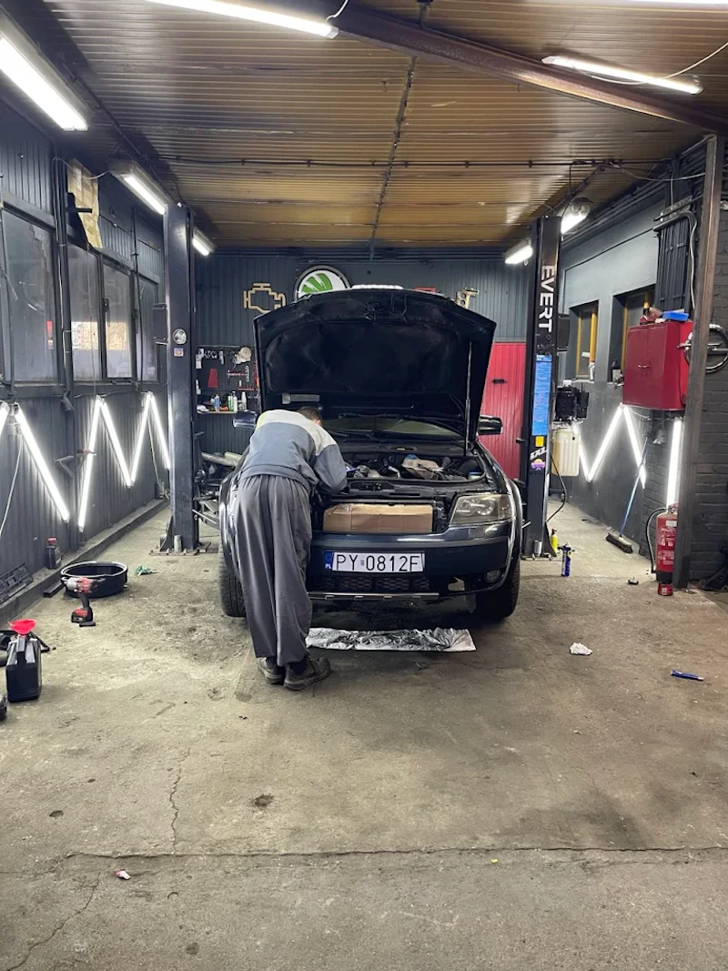 Orlov Auto Service screenshot 2