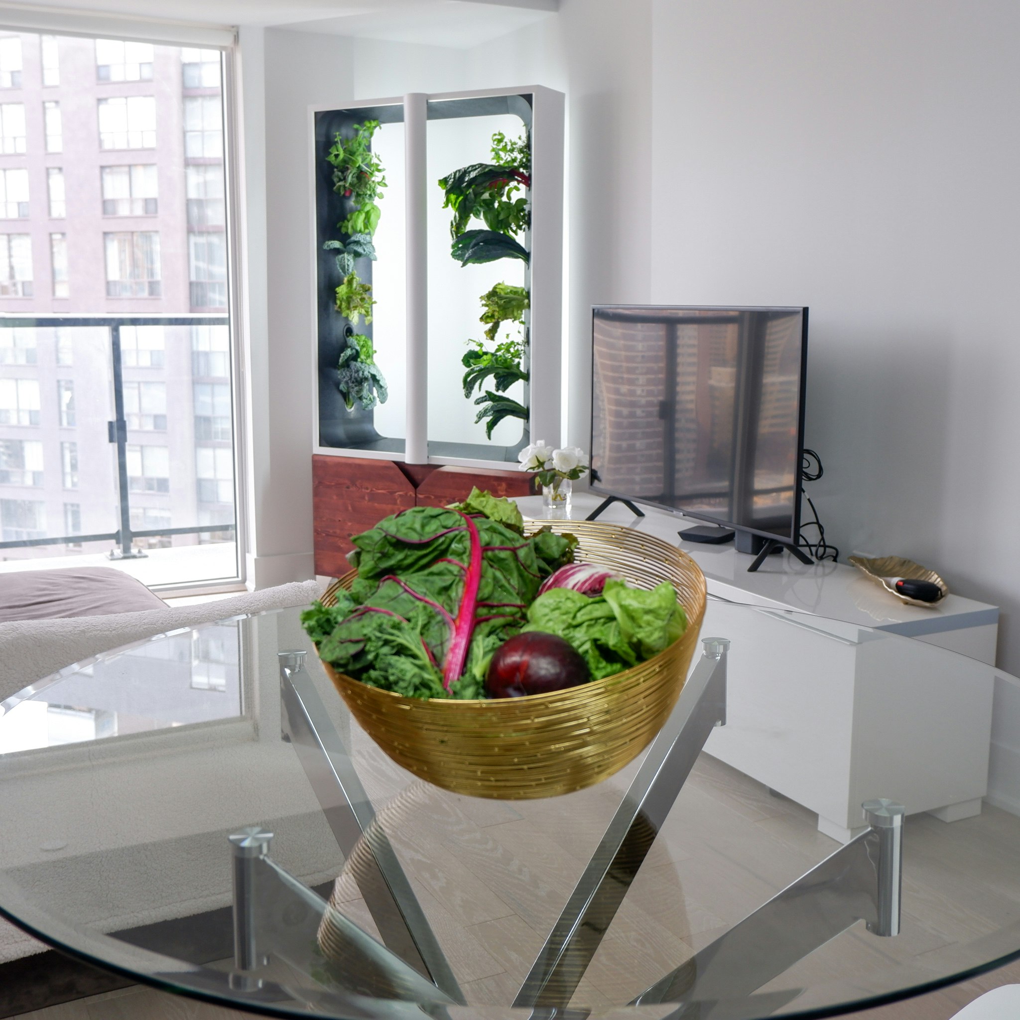 The EVE gallery image