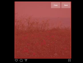 Tailor gallery image