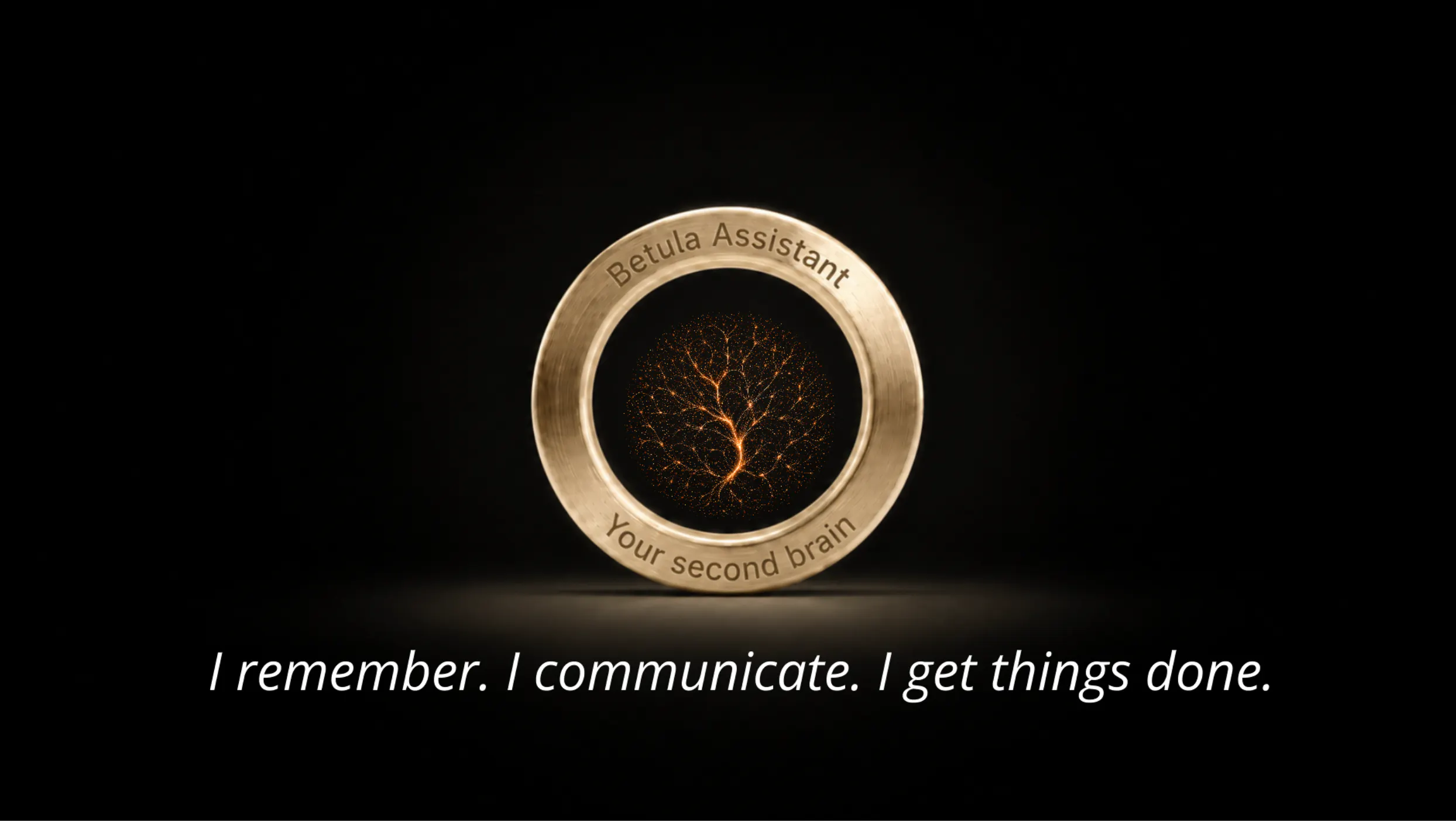 Betula Assistant gallery image