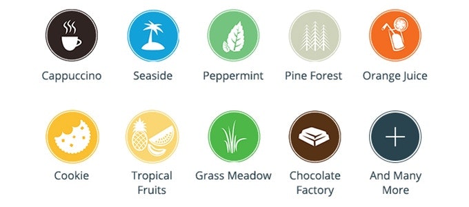 Sensorwake Trio gallery image