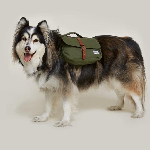 Wolf Republic Ranger Dog Backpack gallery image
