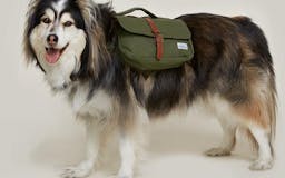 Wolf Republic Ranger Dog Backpack media 2