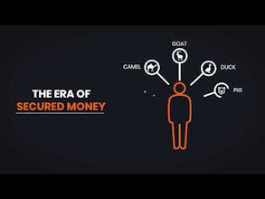 SENSE Chain gallery image