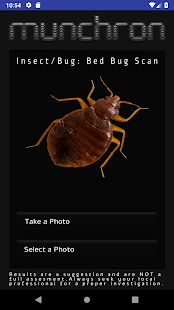 Munchron - Bed Bug Detection gallery image