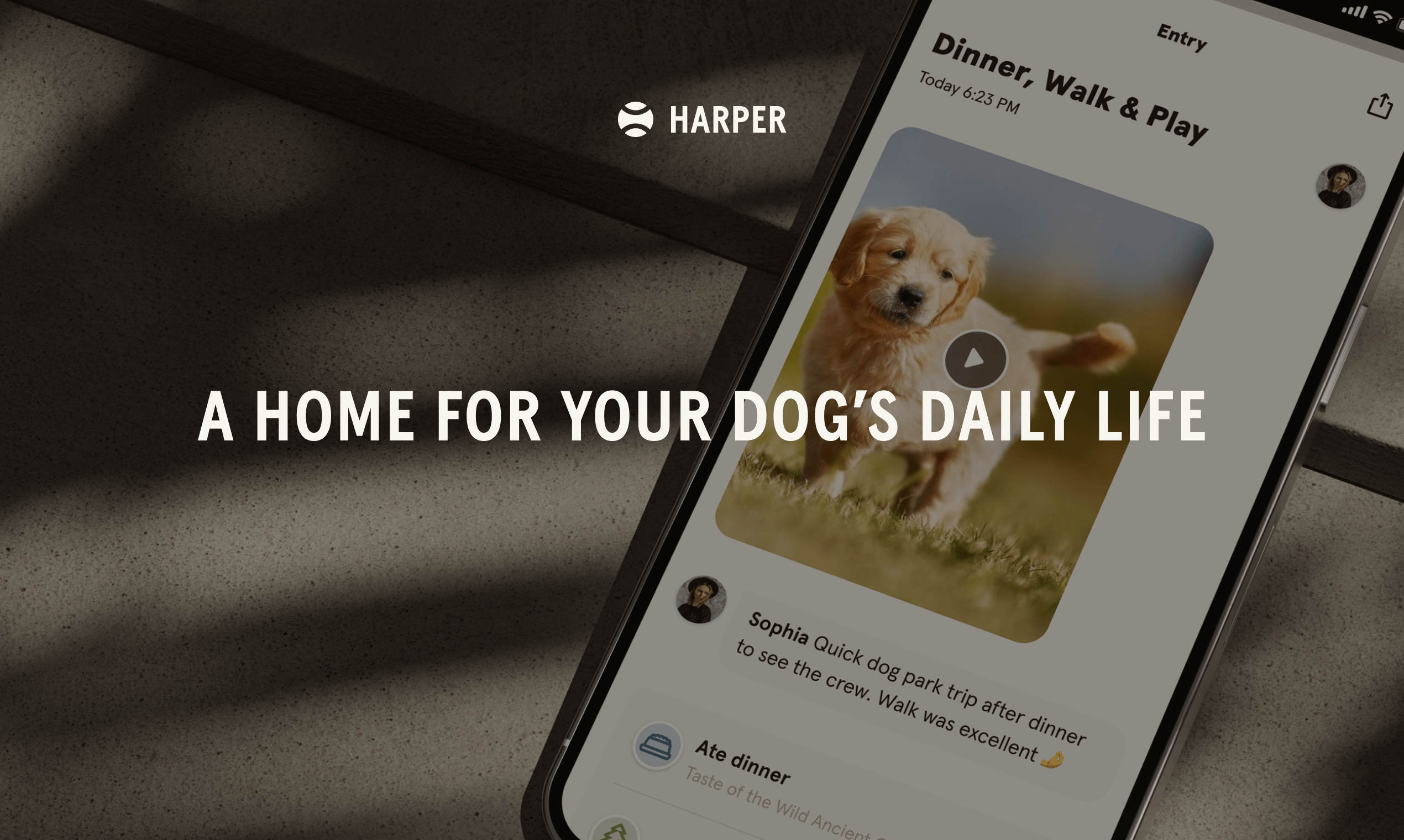 Harper media 1