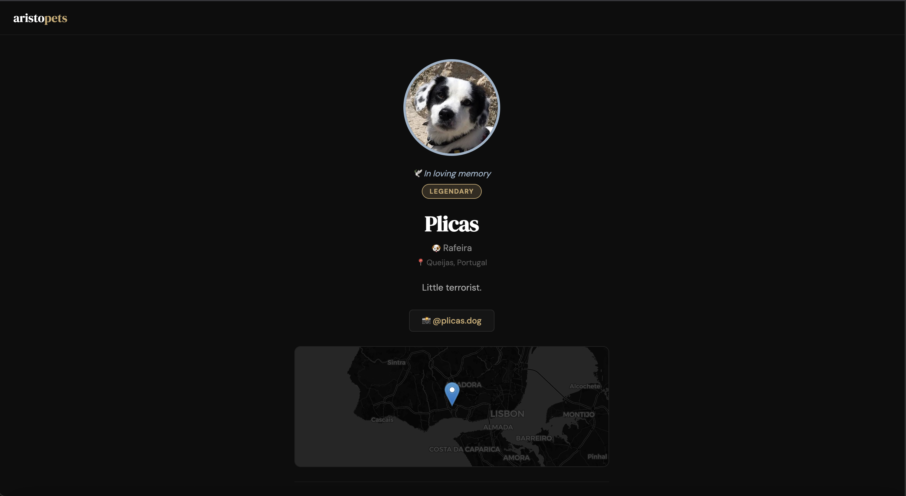 Aristo Pets gallery image