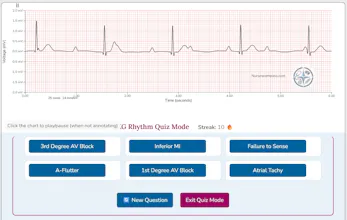 Nurses Compass EKG Simulator gallery image