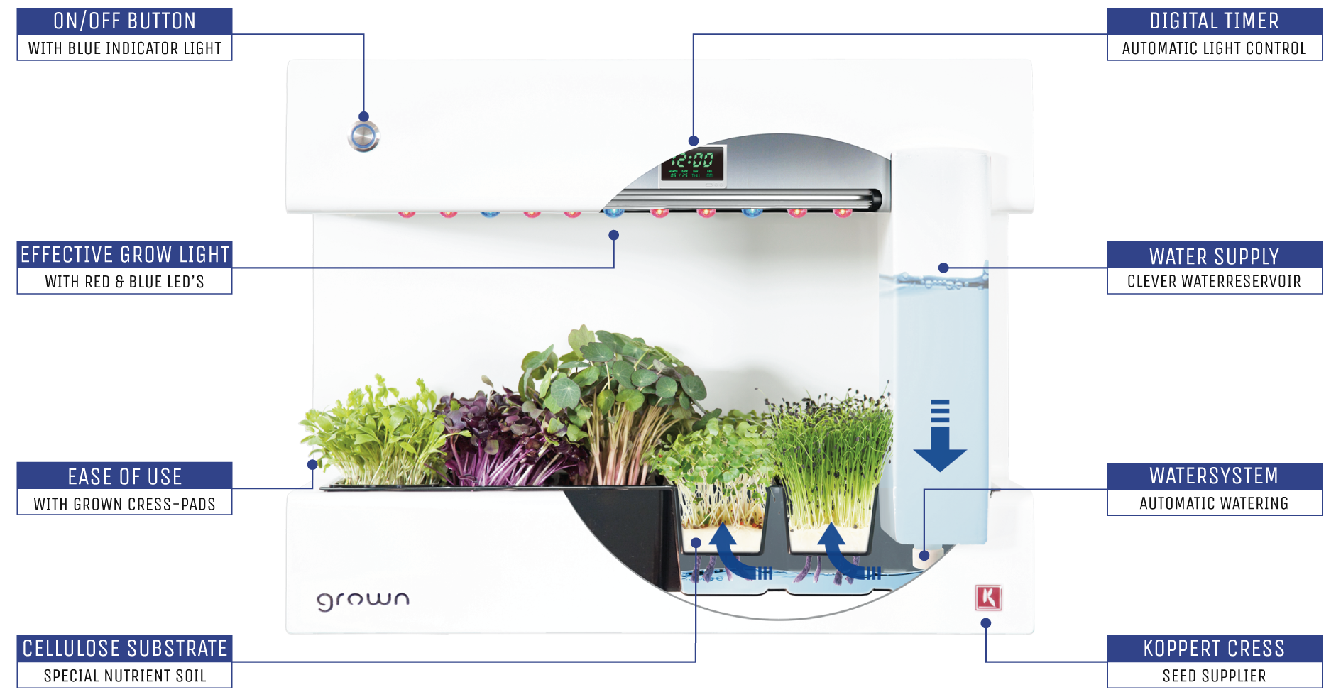 CressToday gallery image