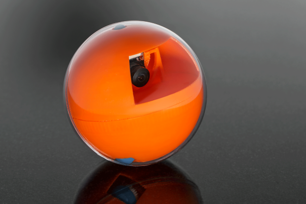 PlayDate gallery image