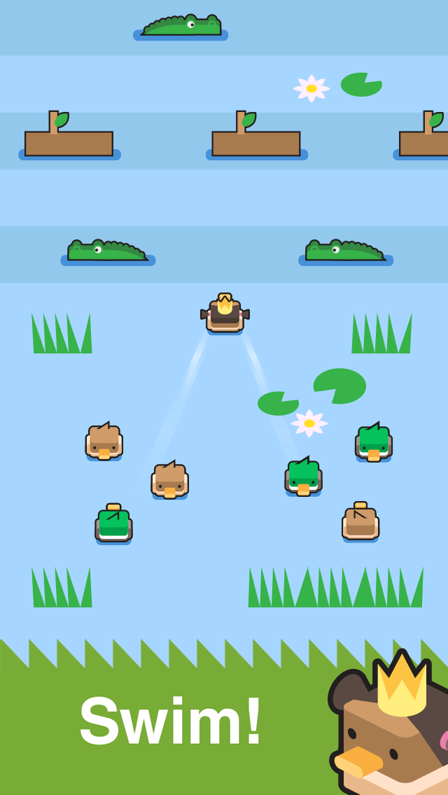 Dashy Ducks gallery image