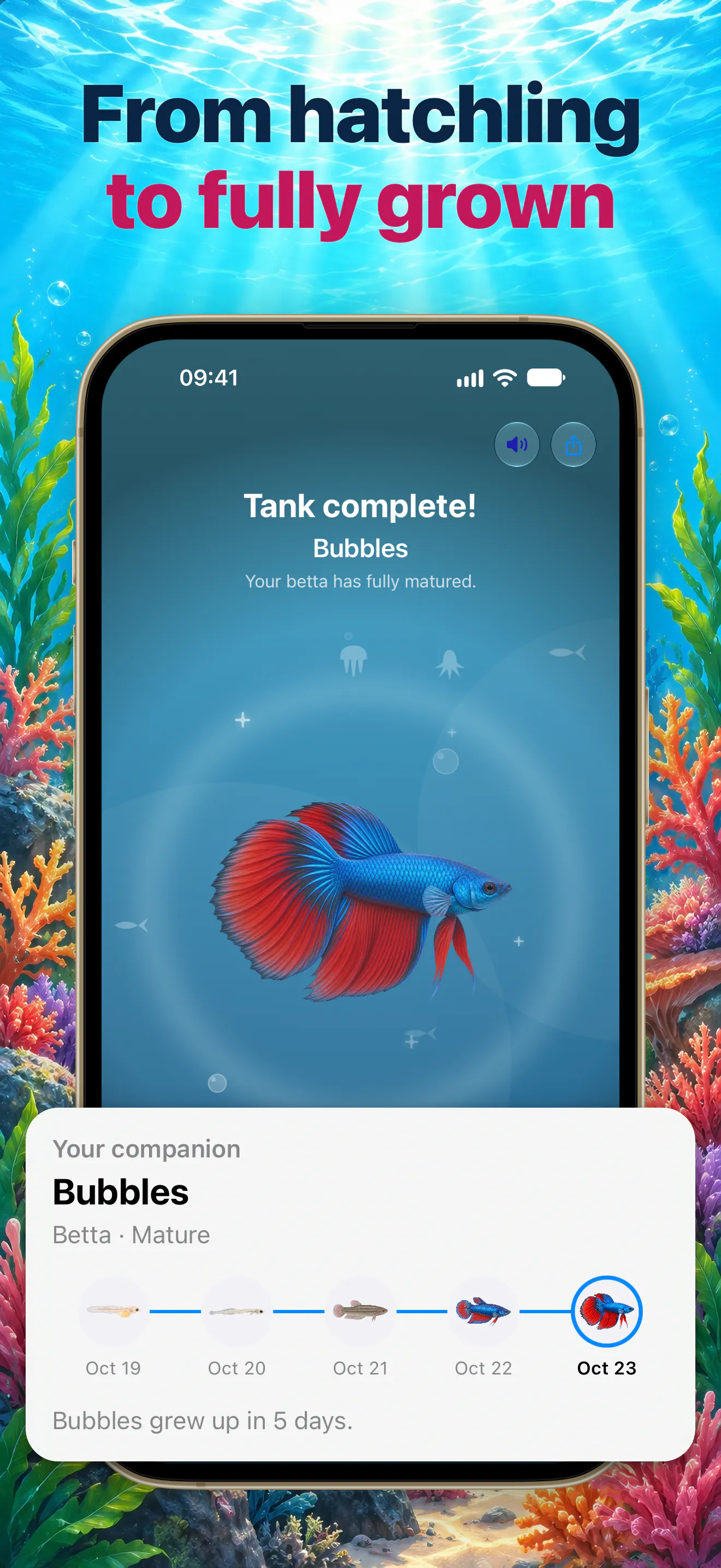 Pixfin: Fish Pet Step Tracker gallery image