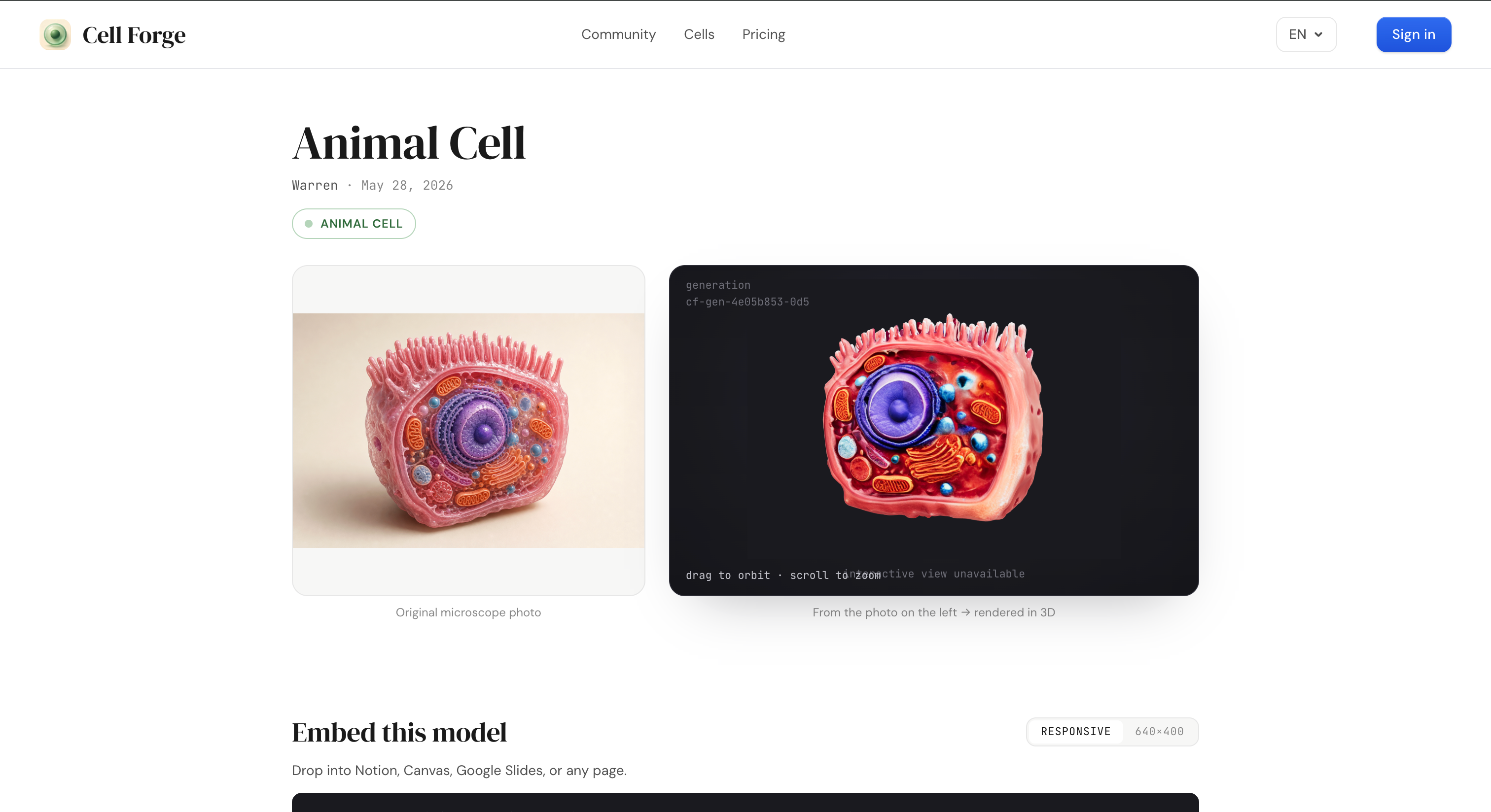 3D cell models from images — Cell Forge gallery image