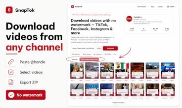SnapTok.app gallery image