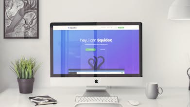 Squidex gallery image