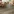 San Francisco Hardwood Flooring