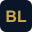 BasisLink Crypto Cost Basis Verification