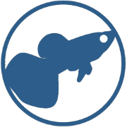 InterviewGuppy - Interview prep tool