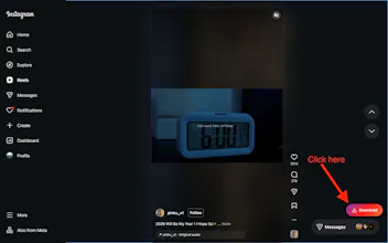 Instagram Reels Downloader gallery image