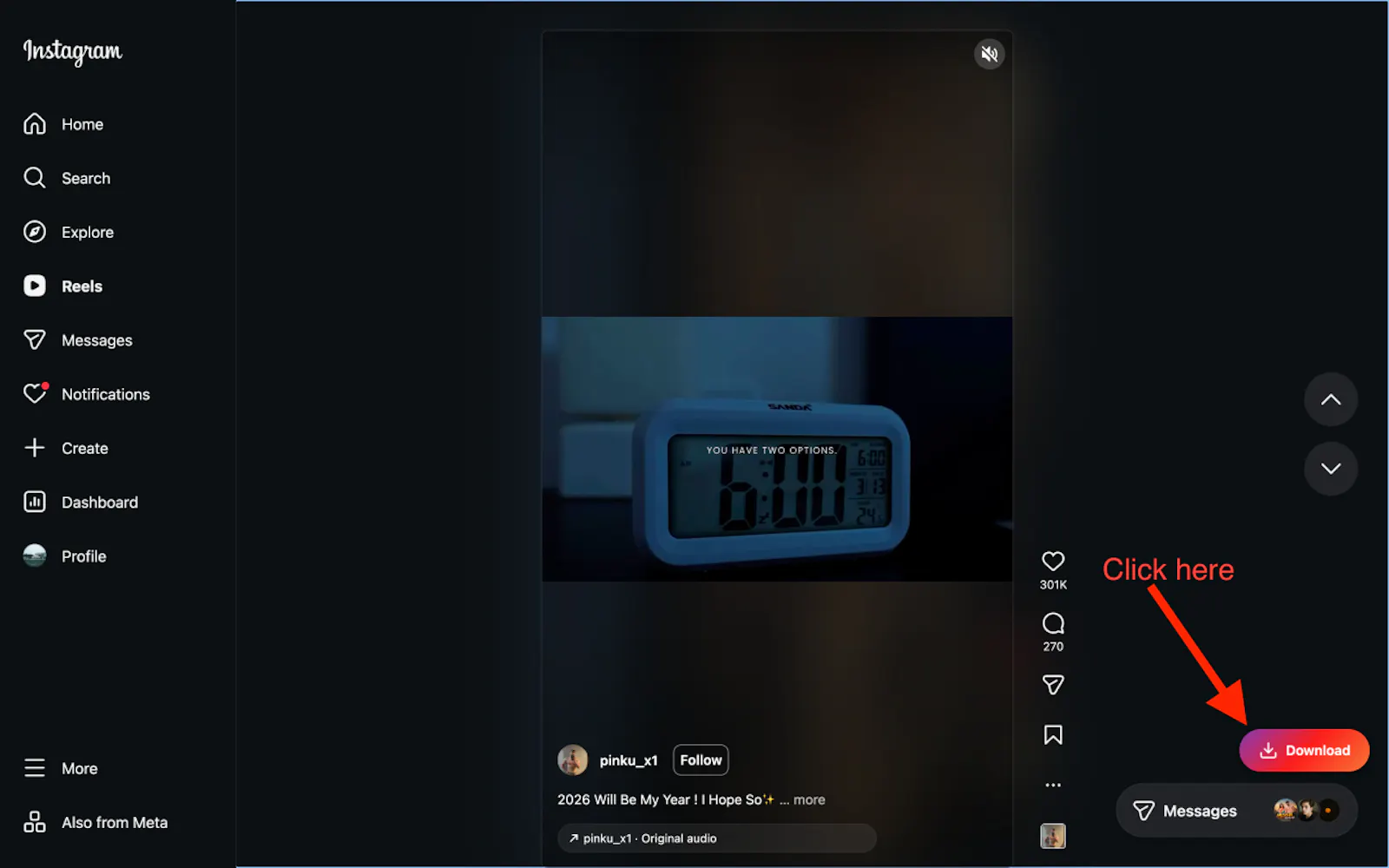 Instagram Reels Downloader screenshot 3