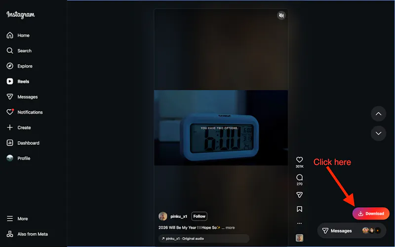 Instagram Reels Downloader screenshot 3