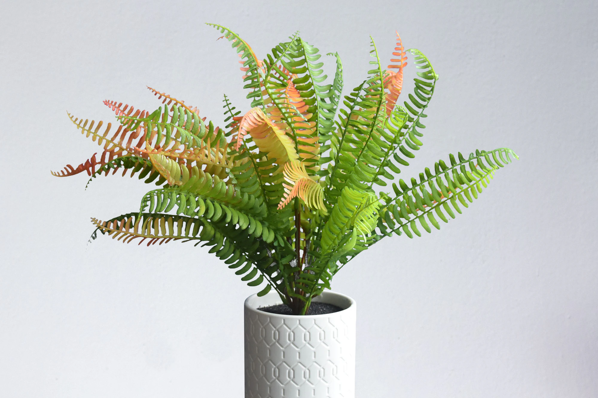 Slightly Browning Fake Plants
