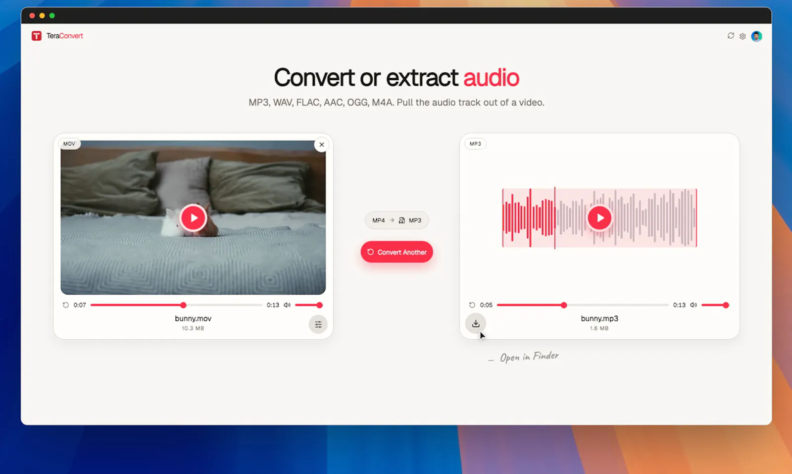 TeraConvert screenshot 3