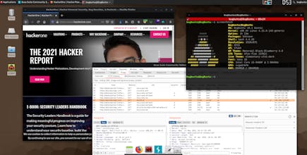 BugBuntu Linux gallery image