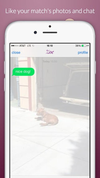 Alchemy gallery image